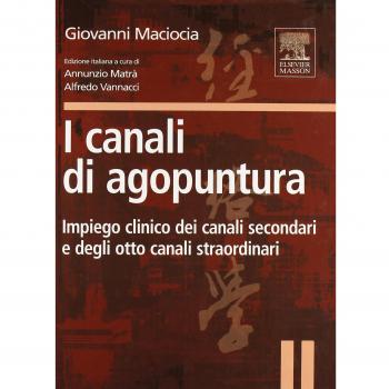 I canali di agopuntura