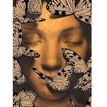 Petit Carnet Peau d'âne