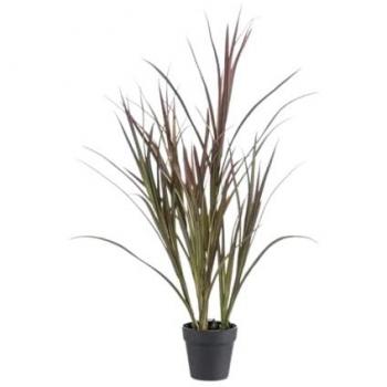 Junco verde intenso exterior 90 cm con macetero incluido