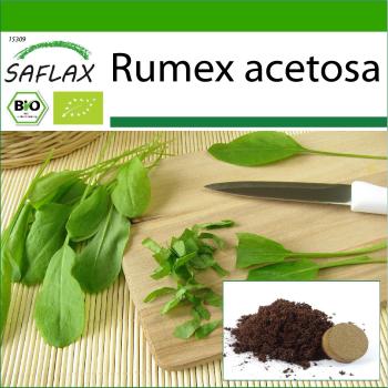 400 Semi di Acetosa Francese