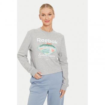 Reebok Regular Fit Sweatshirt Court Grau
