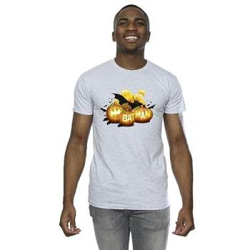 Grey Batman Pumpkins Graphic T‑Shirt – Size 5XL