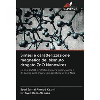Sintesi e caratterizzazione magnetica del bismuto drogato ZnO Nanowires: Le basi di ZnO e l'effetto di diversi doping come il Bi-doping sulle proprietà magnetiche di ZnO NWs