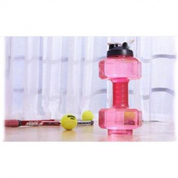 2.6L Fitness Water Dumbbells