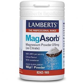 Lamberts Magasorb® 375 Mg Polvo 65g