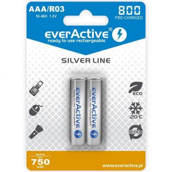 Everactive 800 mAh NiMH AAA Wiederaufladbare Batterien (2er Pack)