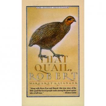 That Quail, Robert (Paperback)