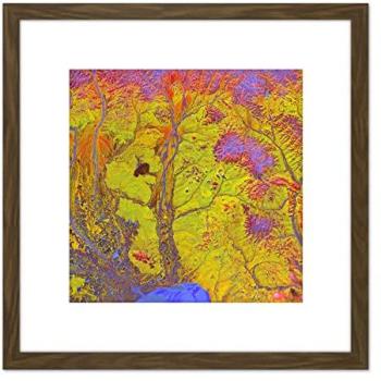 Bright Psychedelic Mushroom Canvas 8x8 Framed Picture