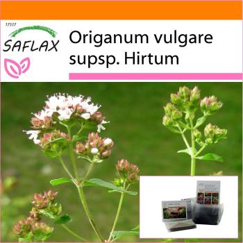 SAFLAX