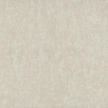 Tissu Intissé pour Peinture Beige Silver