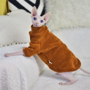 Écharpe de fourrure pour chat Sphynx