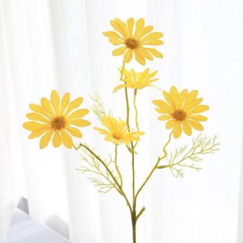 Artisanat marguerite en fibres naturelles