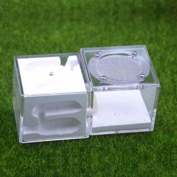 Three-dimensional Ant Nest