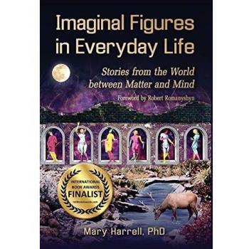 Imaginal Figures In Everyday Life: Stories from The World Between Matter And Mind