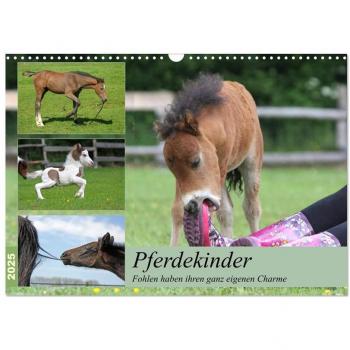Pferdekinder