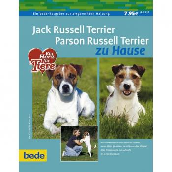 Cornelia Renczes Jack Russell Terrier Und Parson Russell Terrier Zu Hause