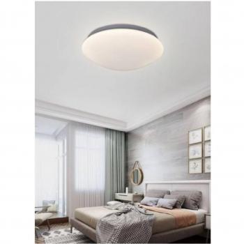 Lampe de Plafond 36 W Couleurs Variées C01-36