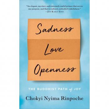 Sadness Love Openness: The Buddhist Path of Joy