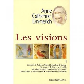 Les Visions AC Emmerich T1