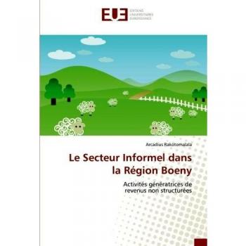Le Secteur Informel dans la Région Boeny: Activités génératrices de revenus non structurées