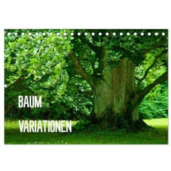 Baum-Variationen (Tischkalender 2025 DIN A5 quer) CALVENDO Monatskalender