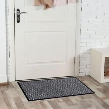 Finestra di ingresso plastica grigia Aurillac 60×80