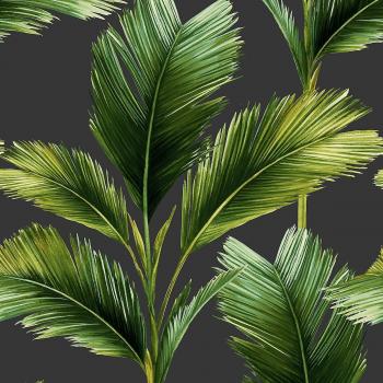 Kailani : Feuilles de Palmier (Charcoal & Vert) – Papier Peint