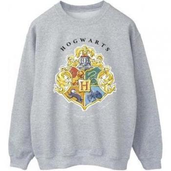 Sudadera Harry Potter Hogwarts para Hombre XL