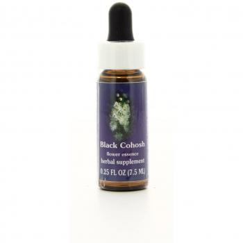Traubensilberkerze Duftkonzentrat 7,4ml