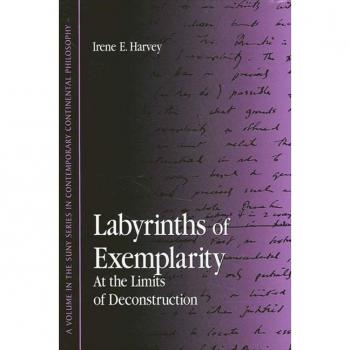 Labyrinths of Exemplarity