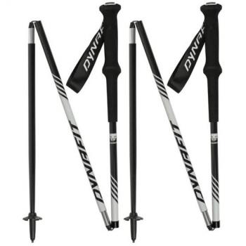 Paire de Bâtons Dynafit Alpine Pro Noir-White 125