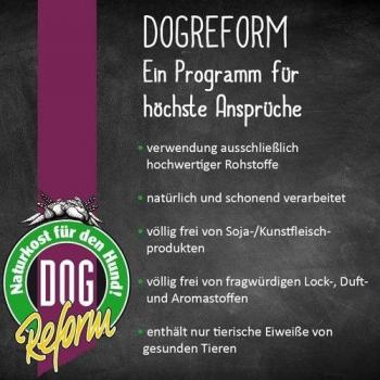 Dogreform Premium 11‑Er – 10 x 410 g & 1 x 200 g