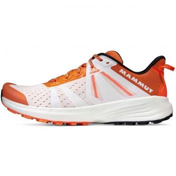 Saentis Outdoor Low 46