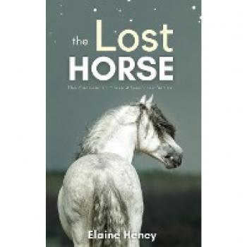 The Lost Horse
