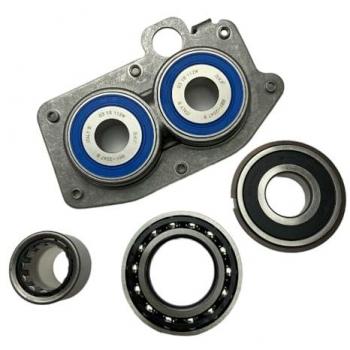 Insert de palier auto‑alignement M‑UC204 D1 – NTN