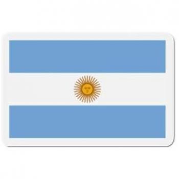 Multicolor Argentina Flag Magnet Bundle – 10cm, 50 Pieces, Resin Mix