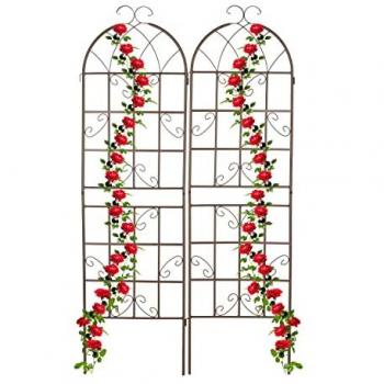 Set di 2 Supporti per Piante Rampicanti, 179 x 52 cm, in Metallo con Picchetti, Marrone