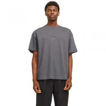 Relaxed Fit T-Shirt in Grau