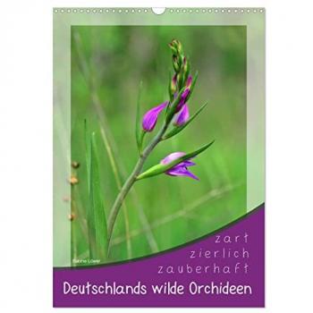 Wilde Orchideen Deutschlands
