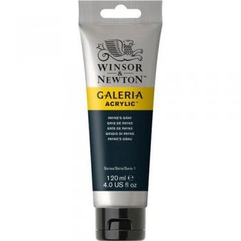 Winsor & Newton Galeria Acrylic 120ml Tube Paynes Gray