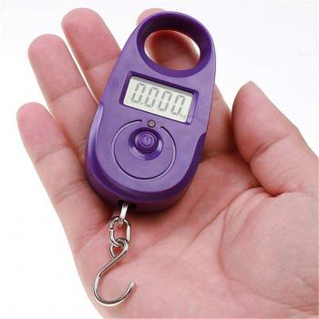 Báscula de Equilibrio Portátil 25kg/5g