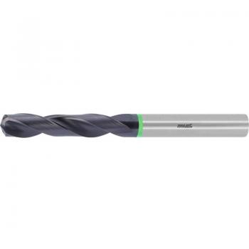 Punta HMI HOLEX Pro Steel ⌀ DC h7 Codolo DIN 6535