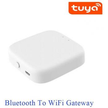 Tuya App Controlled Fingerprint Lock