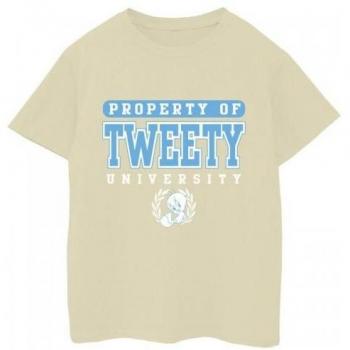 Dec13TweetyUniversityBlackTshirt