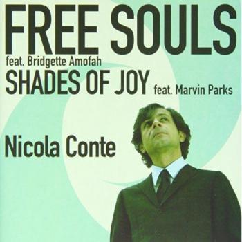 Free Souls-Shades Of Joy