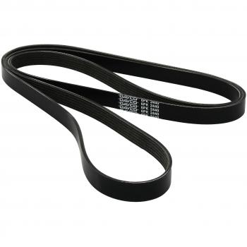 DAYCO 6PK2440 Riemen