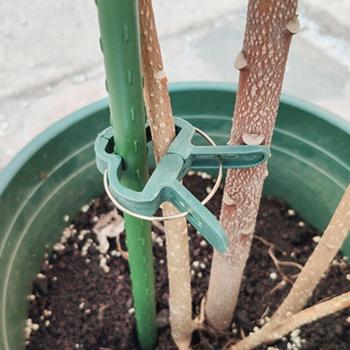 20pcs Flower Seedling Clips