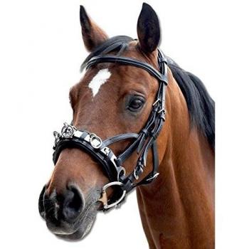 Waldhausen Premium Leather Cavesson Black