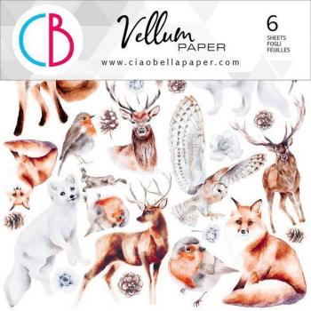 Ciao Bella Transparentpapier Wintertraum, 15 cm x 15 cm, 6 Blatt