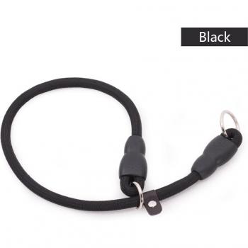 Sangle de traction pour chien